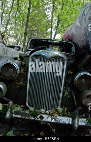 Eine alte Riley sitzt in den Wald-Schrottplatz am Autofriedhof Gurbetal Schweiz Stockfoto