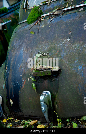 Der Stamm einer alten Chevrolet Autofriedhof Gurbetal Schweiz Stockfoto