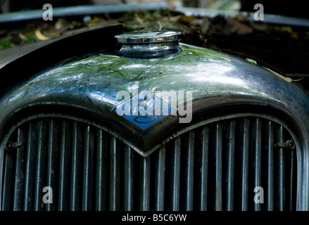 Eine alte Riley sitzt in den Wald-Schrottplatz am Autofriedhof Gurbetal Schweiz Stockfoto