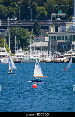 Kinder Rennen Kinderwagen Segelboote auf Lake Union in Seattle Washington Stockfoto