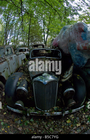 Eine alte Riley sitzt in den Wald-Schrottplatz am Autofriedhof Gurbetal Schweiz Stockfoto