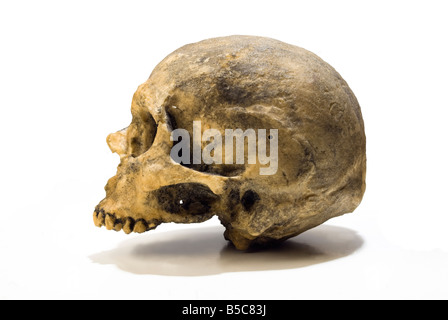 ein menschlicher Schädel über weißem Hintergrund könnte Gefahr darstellen oder Poison werden Stockfoto