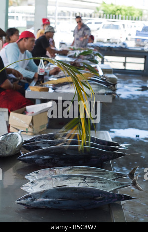 Hand mit der Handfläche verlassen, halten Sie fliegen Weg Fisch, Fisch Markt, Apia, Samoa Stockfoto