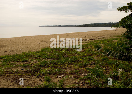 PLAYA AGUA ARENA MAR PAZ CALMADO CALLADO SERENO NATURALEZA ABIERTO COSTA NADIE NADA PARAISO ABURRIDO ALLEIN EINSAMKEIT EINSAME FERIEN REISE ESCAPAR Stockfoto