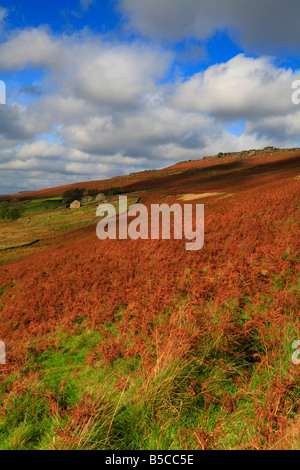 Overstones Farm und Callow Bank unterhalb von Stanage Edge in der Nähe von Hathersage, Derbyshire, Peak District National Park, England, Großbritannien. Stockfoto