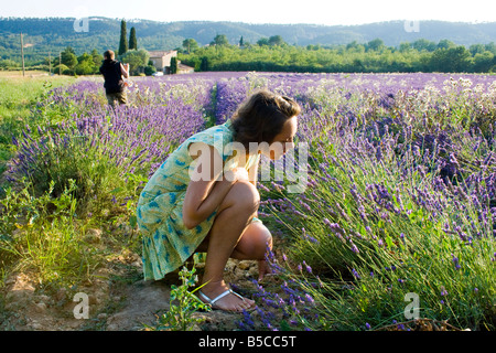 Lavendel-Felder-Provence mit einer jungen Frau genießen den Lavendel, Frankreich Stockfoto