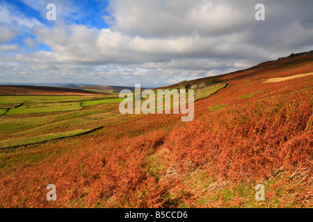 Overstones Farm und Callow Bank unterhalb von Stanage Edge in der Nähe von Hathersage, Derbyshire, Peak District National Park, England, Großbritannien. Stockfoto