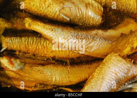 Sprotte Fische sind in Butter Snack auf volle Hintergrund Stockfoto