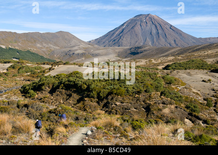 Mount Ngauruhoe aus der oberen Waihohonu Tal, Tongariro Northern Circuit, Nordinsel, Neuseeland Stockfoto