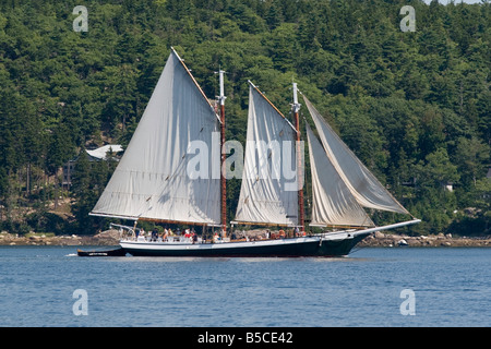 Windjammer MERCANTILE unter Segel Stockfoto