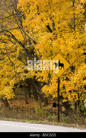 Gelbe Pferde Kreuzung Zeichen von gelben Laub am Straßenrand Stockfoto