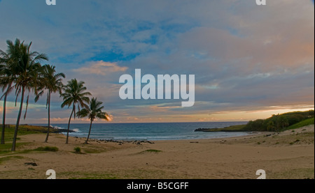 Anakena, weißen Korallen sand Strand Rapa Nui Nationalpark. Palmen ein tropisches Flair. Ahu Nau Nau. Stockfoto