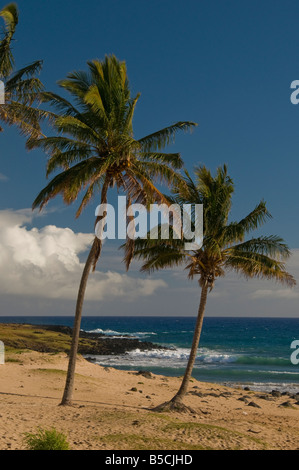 Anakena, weißen Korallen sand Strand Rapa Nui Nationalpark. Palmen ein tropisches Flair. Ahu Nau Nau. Stockfoto