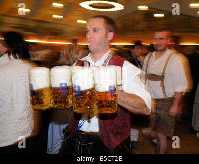 Oktoberfest-Kellner tragen Biere, München Stockfoto