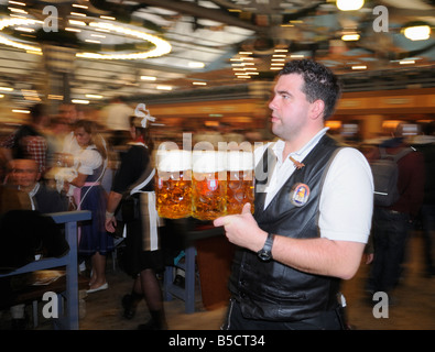 Oktoberfest-Kellner tragen Biere, München Stockfoto