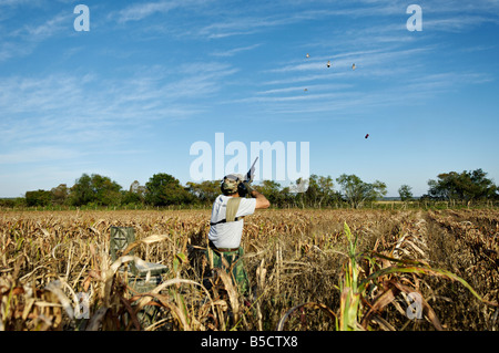 Mann Taube Jagd Trauer in Mexiko Stockfoto