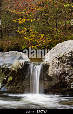 Kleiner Wasserfall und Herbst Farbe auf den Middle Fork des Little Pigeon River im Bereich Greenbrier Great Smoky Mountains Stockfoto