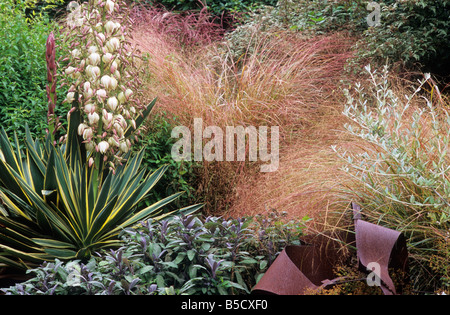 Yucca Gloriosa Variegata Stipa Tenuissima Salvia Skulptur Gräser Gartenpflanzen Herbst Farbe Herbst Blumen Tragwerksplanung Stockfoto
