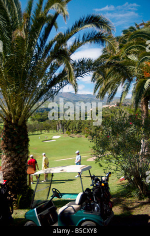 Real club de Golf de Las Palmas, Bandama, Gran Canaria, Kanarische Inseln Stockfoto