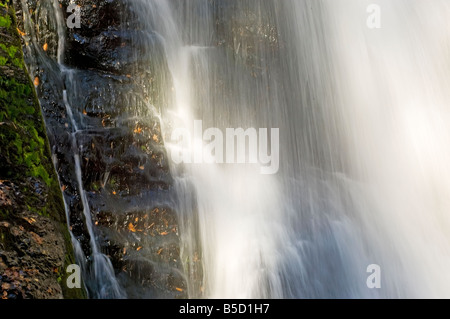 Detail der Bushkill verliebt sich in Pennsylvania Stockfoto