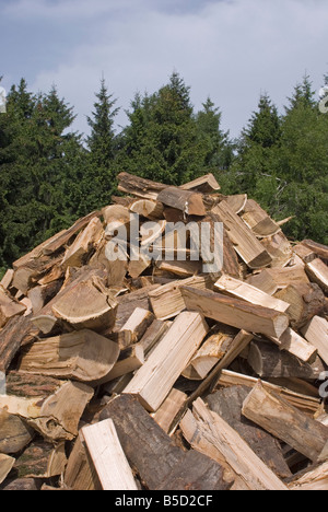 aufgetürmt Protokolle im Wald Stockfoto