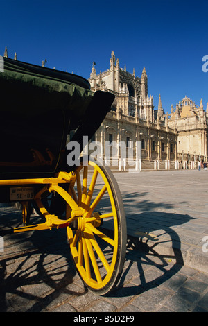 Pferdekutsche im Plaza del Triunfo vor der Kathedrale, Sevilla, Andalusien (Andalusien), Spanien, Europa Stockfoto