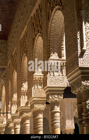 Fein geschnitzte maurischen Spalten in den Patio de Los Leones, Palacio Nazaries, Alhambra, Granada, Andalusien (Andalusien) Spanien Stockfoto