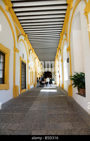 Real Alcazar Santa Cruz Viertel Sevilla Andalusien Andalusien Spanien Europa Stockfoto