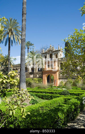 Die Gärten des Real Alcazar, UNESCO-Weltkulturerbe, Viertel Santa Cruz, Sevilla, Andalusien (Andalusien), Spanien, Europa Stockfoto