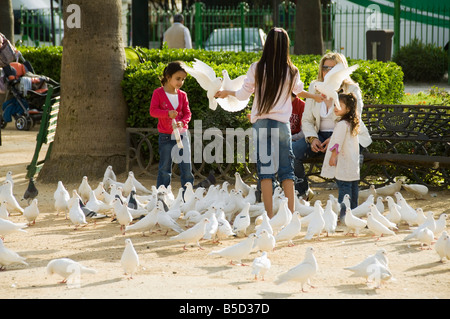 Tauben am Plaza de America, Parque Maria Luisa, Sevilla, Andalusien, Spanien, Europa Stockfoto