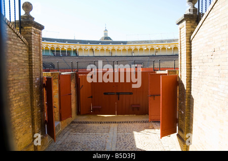 In der Stierkampfarena Plaza de Toros De La Maestranza, El Arenal Bezirk, Sevilla, Andalusien, Spanien, Europa Stockfoto