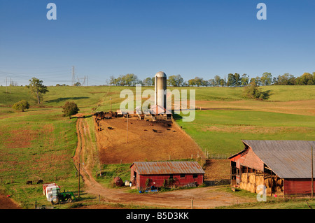 Eine schöne amerikanische pastorale Idylle von unten auf dem Bauernhof im Grainger County, Tennessee, USA. Foto von Darrell Young. Stockfoto