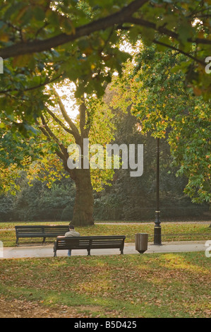 Herbst, Hyde Park, London, England, Europa Stockfoto
