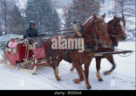 Pferdekutsche Schlitten und für Pontresina in einem Schneesturm in der Schweiz, Europa Stockfoto