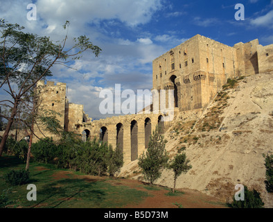 Die Zitadelle, Aleppo, UNESCO World Heritage Site, Syrien, Naher Osten Stockfoto