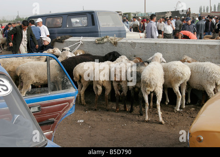 Tierische Sonntagsmarkt in Karakol, Kirgisistan, Zentralasien Stockfoto