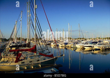 Chichester Marina, West Sussex, England, Europa Stockfoto