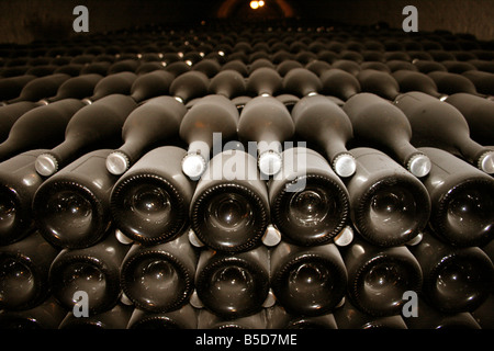 Moet et Chandon alten staubigen Jahrgangs-Champagner-Flaschen in ihren Kellern Head Office, Epernay Frankreich horizontale. 50646 Epernay2005 Stockfoto