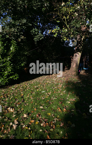 eine Porträtaufnahme der frühen Herbst Blätter fallen von einem Baum in einem schönen Hertfordshire-Garten Stockfoto