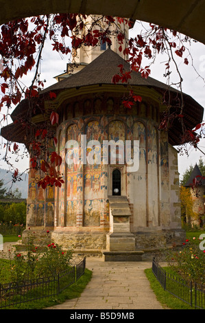 Moldovita gemalt Kloster Südbukowina Norden Rumänien Stockfoto
