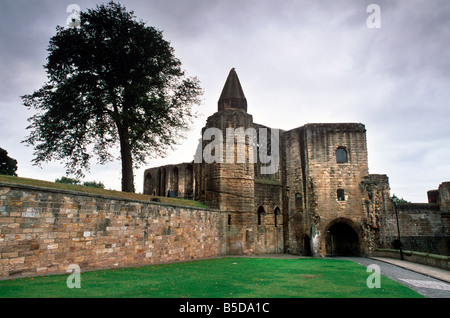 Refektorium, Dunfermline Abbey und Palast, Fife, Schottland, Europa Stockfoto