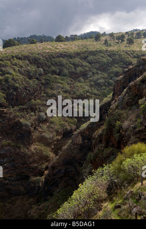 Ein Canyon in der Nähe der Küste in der Nähe von Las Tricias im Norden der Insel La Palma, Kanarische Inseln, Spanien. Stockfoto