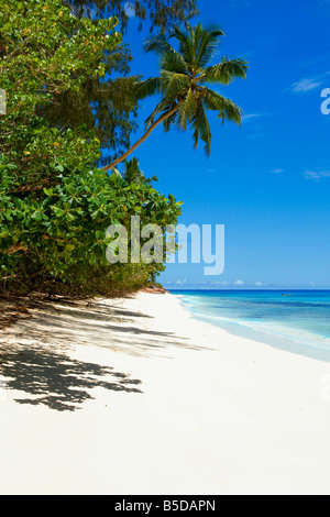 Anse Boudin Praslin Insel Seychellen Stockfoto