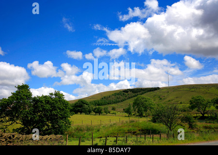 Landschaft bei Anglezark Moor Lancashire County England UK Stockfoto