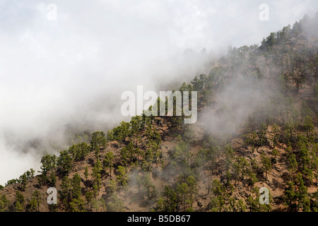 Blick von der Straße bis zum Roque de Los Muchachos Observatorium auf La Palma, einer der Kanarischen Inseln. Stockfoto