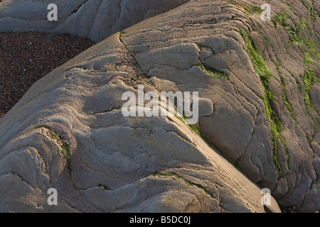 Spittal Strand Mündung des Fluss Tweed in der Nähe von Berwick Felsen auf die tideline Stockfoto