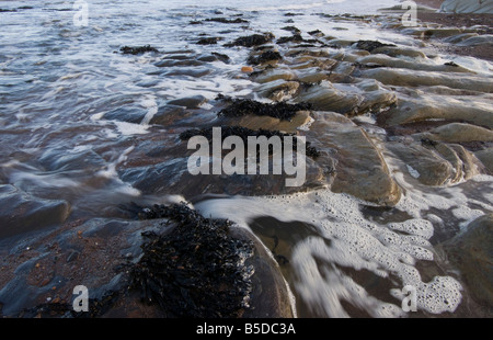 Spittal Strand Mündung des Fluss Tweed in der Nähe von Berwick Felsen auf die tideline Stockfoto