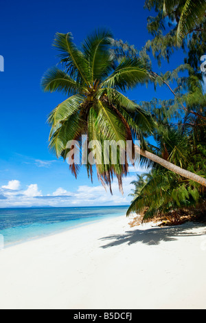 Grand Anse Praslin Insel Seychellen Stockfoto