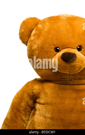 Teddybär isoliert auf weißem Hintergrund Stockfoto