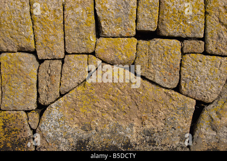 Nahaufnahme von Steinen in einer Trockensteinmauer in Cornwall England Großbritannien Europa Stockfoto